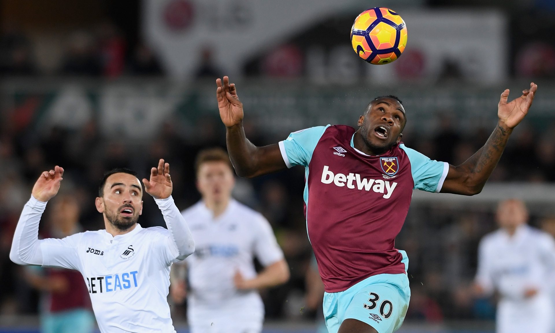 德里赫特的 德里赫特的